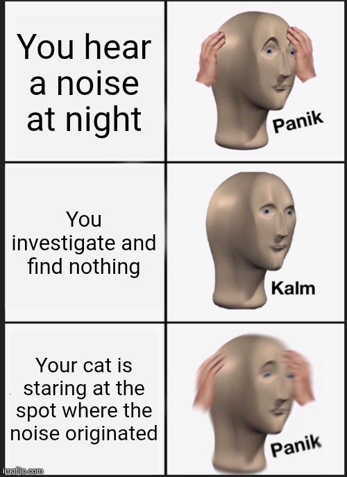 This is happening to me right now sos | You hear a noise at night; You investigate and find nothing; Your cat is staring at the spot where the noise originated | image tagged in memes,panik kalm panik,cat,cats,scary | made w/ Imgflip meme maker