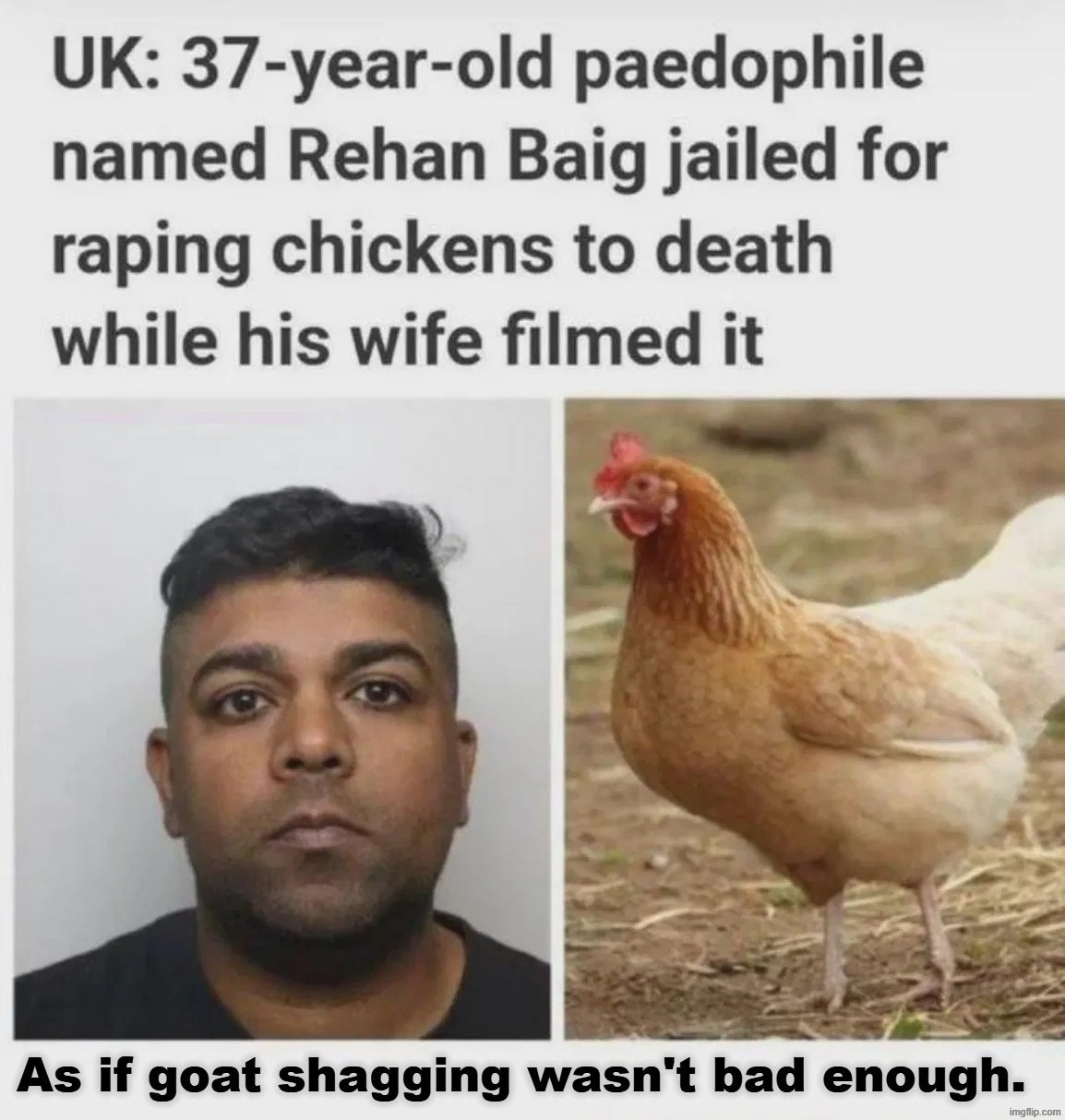 What in the Hot Crispy Kentucky Fried Frick? | image tagged in bestiality,perverts,what in the hot crispy kentucky fried frick,sodomy,radical islam,muslim advice | made w/ Imgflip meme maker