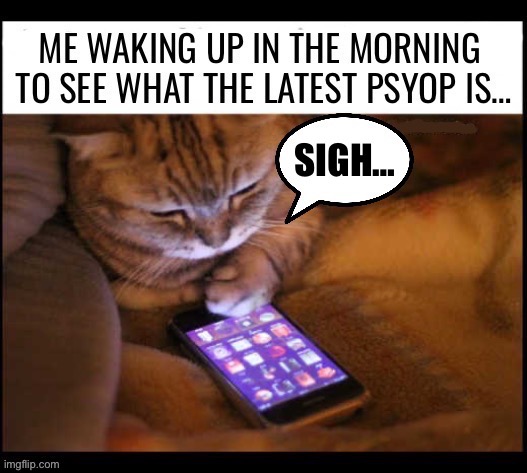 The deep state loves it’s psyops… | image tagged in political meme,cats,wake up in the morning,psyop,latest,sigh | made w/ Imgflip meme maker