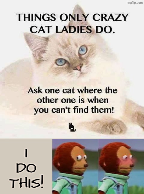 I Totally Do This Y’all | I DO THIS! | image tagged in cats,funny cat memes,crazy cat lady,funny,puppet monkey looking away,embarrassed | made w/ Imgflip meme maker