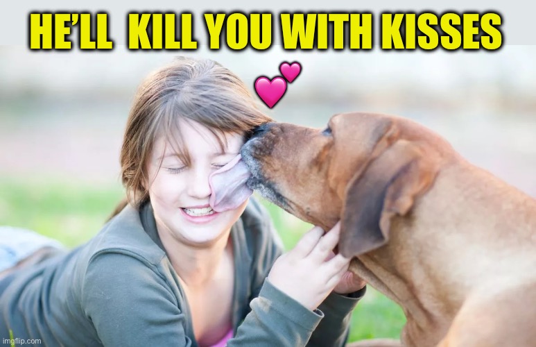 Dog licking | HE’LL  KILL YOU WITH KISSES ? | image tagged in dog licking | made w/ Imgflip meme maker