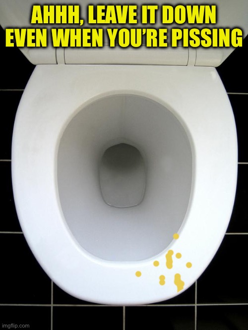 TOILET | AHHH, LEAVE IT DOWN EVEN WHEN YOU’RE PISSING | image tagged in toilet | made w/ Imgflip meme maker