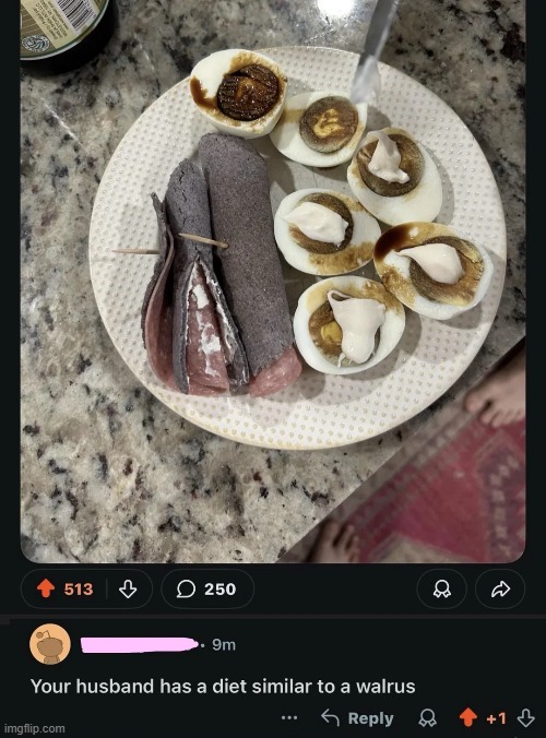 image tagged in husband,diet,walrus | made w/ Imgflip meme maker