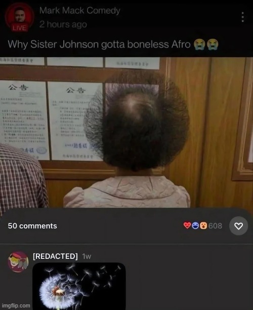image tagged in sister johnson,afro,boneless,dandelion | made w/ Imgflip meme maker