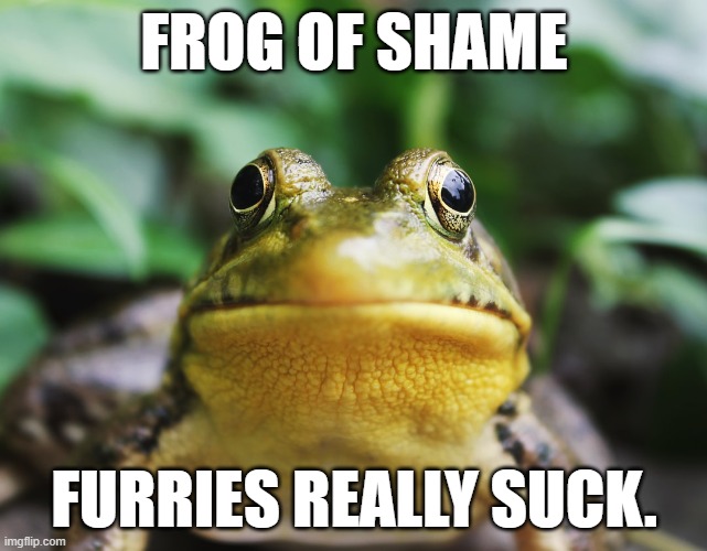 Frog of Shame | FROG OF SHAME; FURRIES REALLY SUCK. | image tagged in frog of shame,memes,frog,shame | made w/ Imgflip meme maker