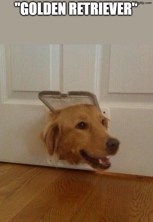 Dog door | "GOLDEN RETRIEVER" | image tagged in dog door | made w/ Imgflip meme maker