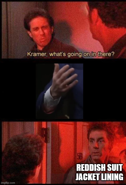 Kramer, what's going on in there | REDDISH SUIT JACKET LINING | image tagged in kramer what's going on in there | made w/ Imgflip meme maker