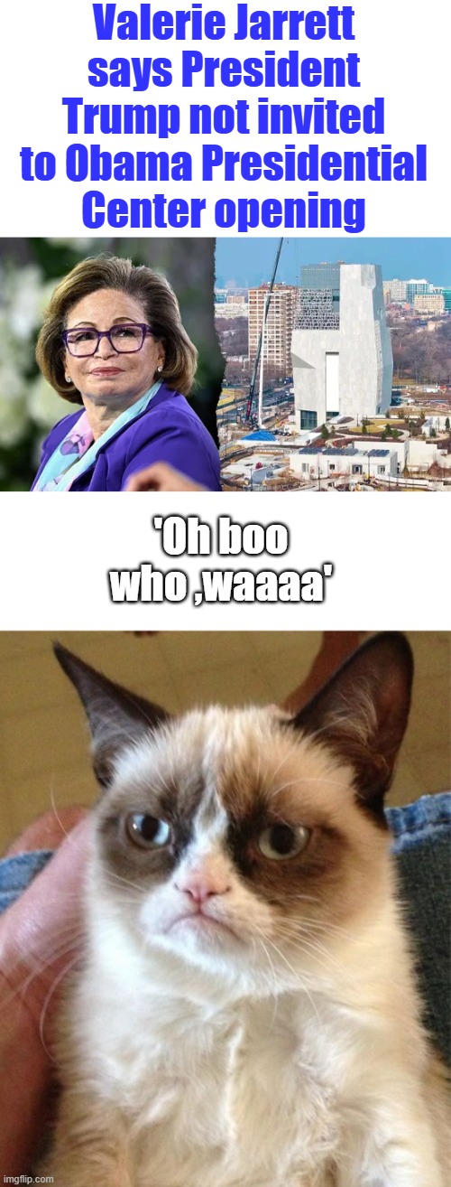 They sure showed Trump. | Valerie Jarrett says President Trump not invited to Obama Presidential Center opening; 'Oh boo who ,waaaa' | image tagged in memes,grumpy cat | made w/ Imgflip meme maker