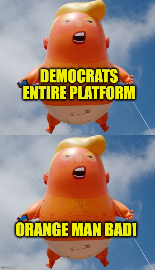 One trick pony | DEMOCRATS
ENTIRE PLATFORM; ORANGE MAN BAD! | image tagged in democrats | made w/ Imgflip meme maker