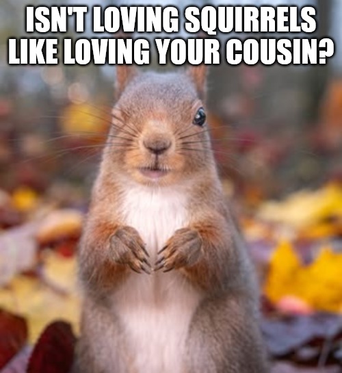 ISN'T LOVING SQUIRRELS LIKE LOVING YOUR COUSIN? | image tagged in squirrel | made w/ Imgflip meme maker