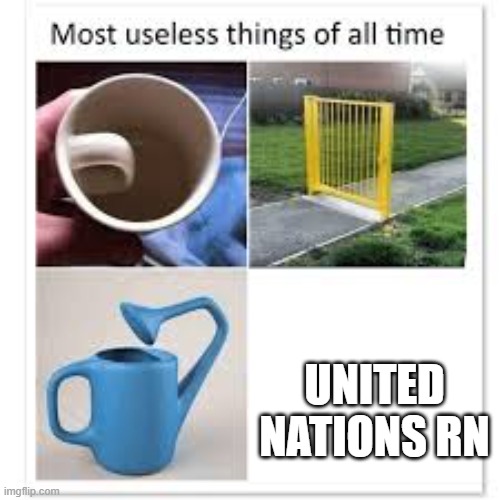 I wish this wasn't true. | UNITED NATIONS RN | image tagged in most useless things | made w/ Imgflip meme maker