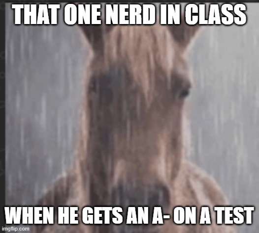 brother it's not that deep | THAT ONE NERD IN CLASS; WHEN HE GETS AN A- ON A TEST | image tagged in sad horse,memes | made w/ Imgflip meme maker