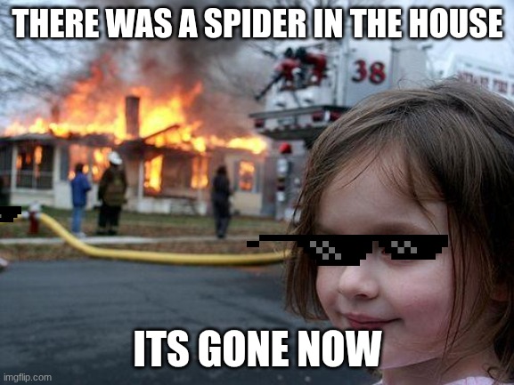 Disaster Girl | THERE WAS A SPIDER IN THE HOUSE; ITS GONE NOW | image tagged in memes,disaster girl | made w/ Imgflip meme maker