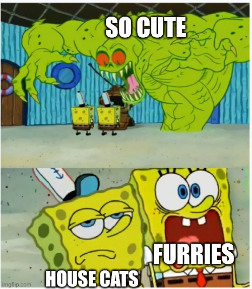 Making fun of them in a light hearted way | SO CUTE; FURRIES; HOUSE CATS | image tagged in spongebob squarepants scared but also not scared | made w/ Imgflip meme maker