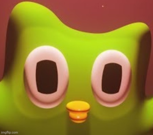 doulingo | image tagged in doulingo | made w/ Imgflip meme maker