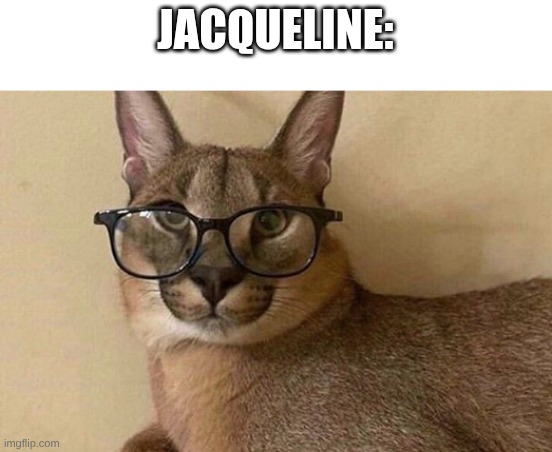 JACQUELINE: | image tagged in floppa professor | made w/ Imgflip meme maker