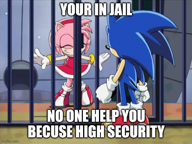 Amy hepls sonic for escape jail meme | YOUR IN JAIL; NO ONE HELP YOU BECUSE HIGH SECURITY | image tagged in amy hepls sonic for escape jail meme | made w/ Imgflip meme maker
