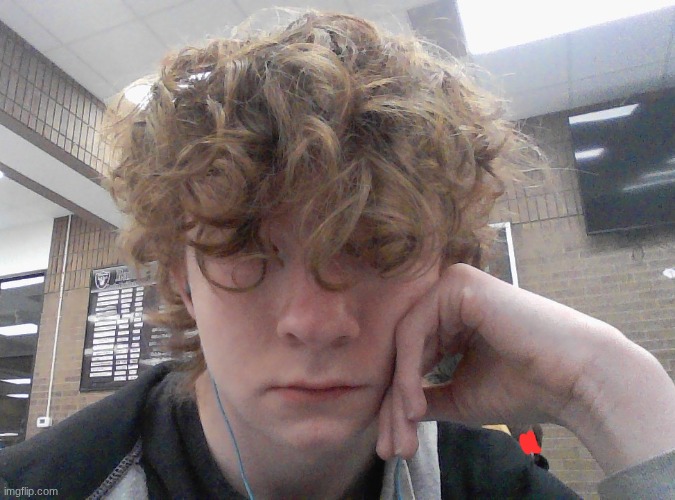 I didn't bother to do my hair tbh | made w/ Imgflip meme maker