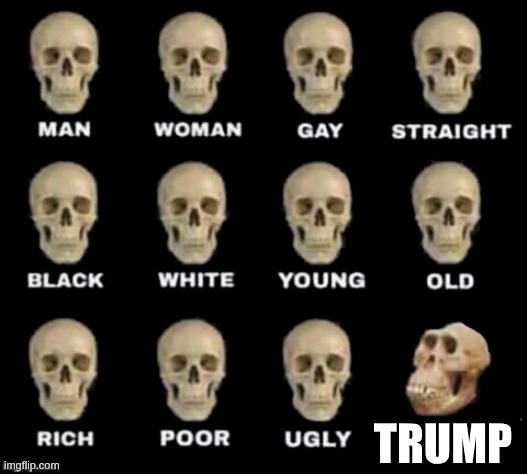 idiot skull | TRUMP | image tagged in idiot skull | made w/ Imgflip meme maker