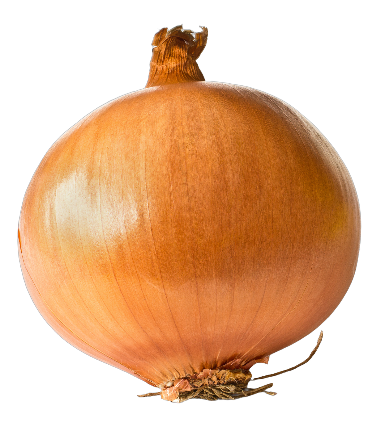 Onion Blank Meme Template