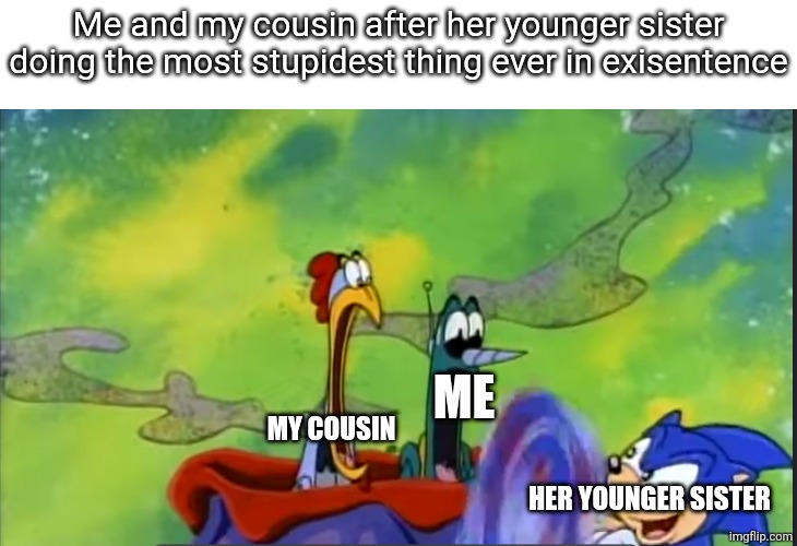 scratch and grounder flabbergasted | Me and my cousin after her younger sister doing the most stupidest thing ever in exisentence; ME; MY COUSIN; HER YOUNGER SISTER | image tagged in scratch and grounder flabbergasted | made w/ Imgflip meme maker