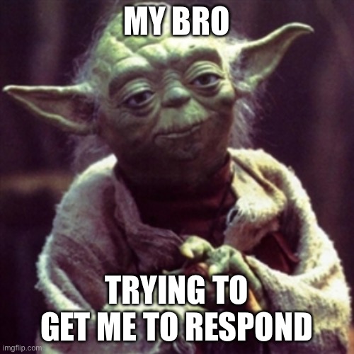 Force is strong | MY BRO TRYING TO GET ME TO RESPOND | image tagged in force is strong | made w/ Imgflip meme maker