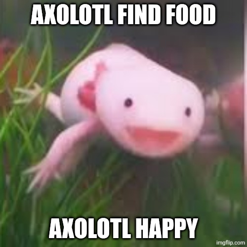 axolotl is happy | AXOLOTL FIND FOOD; AXOLOTL HAPPY | image tagged in axolotl is happy | made w/ Imgflip meme maker