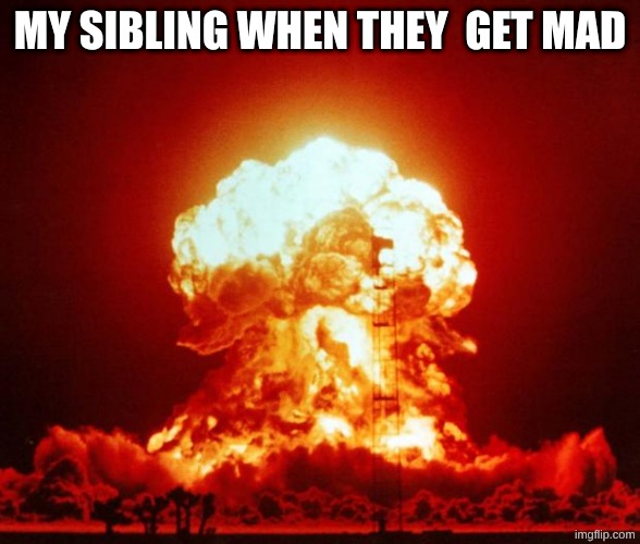 siblings | MY SIBLING WHEN THEY  GET MAD | image tagged in nuke,siblings,memes | made w/ Imgflip meme maker