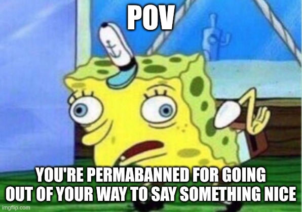 you know the world has gone to heck when... | POV; YOU'RE PERMABANNED FOR GOING OUT OF YOUR WAY TO SAY SOMETHING NICE | image tagged in memes,mocking spongebob,pov,i was banned for being nice | made w/ Imgflip meme maker