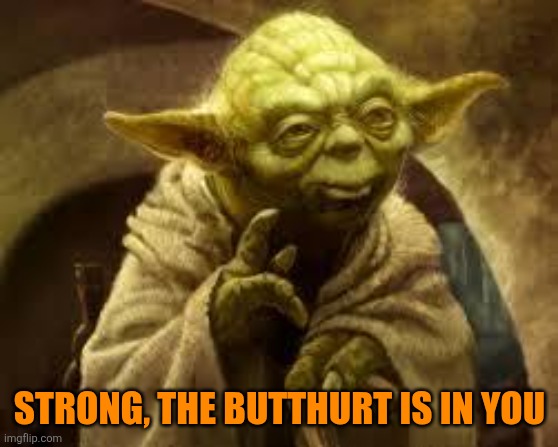 yoda | STRONG, THE BUTTHURT IS IN YOU | image tagged in yoda | made w/ Imgflip meme maker