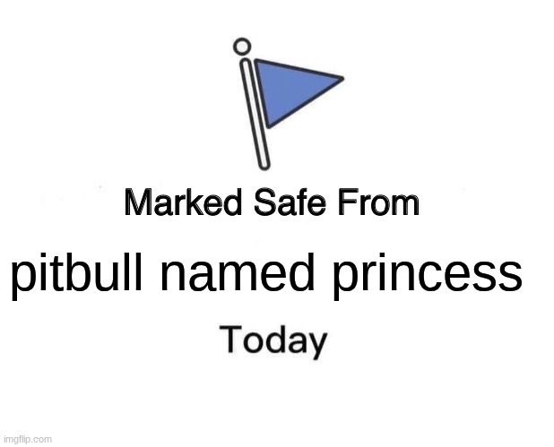Safe! | pitbull named princess | image tagged in memes,marked safe from,safe | made w/ Imgflip meme maker
