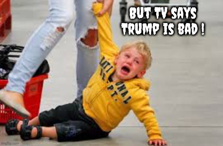 Tantrum store | But TV says Trump is bad ! | image tagged in tantrum store | made w/ Imgflip meme maker