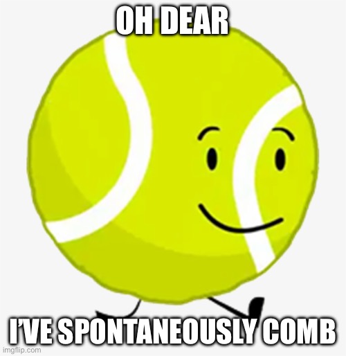 Tennis ball BFDI | OH DEAR I’VE SPONTANEOUSLY COMBUSTED | image tagged in tennis ball bfdi | made w/ Imgflip meme maker