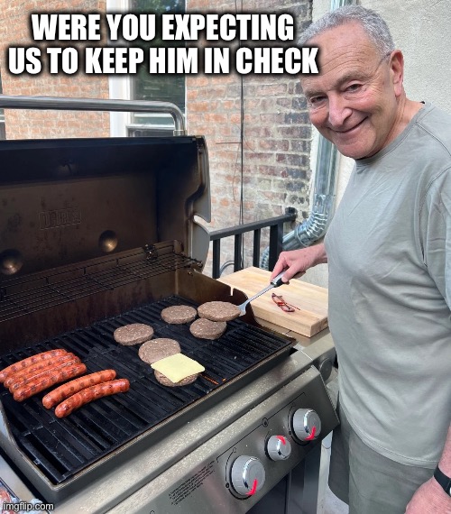 WERE YOU EXPECTING  US TO KEEP HIM IN CHECK | image tagged in chuck schumer burgers | made w/ Imgflip meme maker