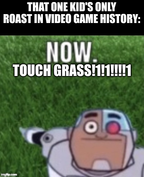 Touch it... | THAT ONE KID'S ONLY ROAST IN VIDEO GAME HISTORY:; TOUCH GRASS!1!1!!!!1 | image tagged in touch grass,relatable,funny,funny memes,memes | made w/ Imgflip meme maker