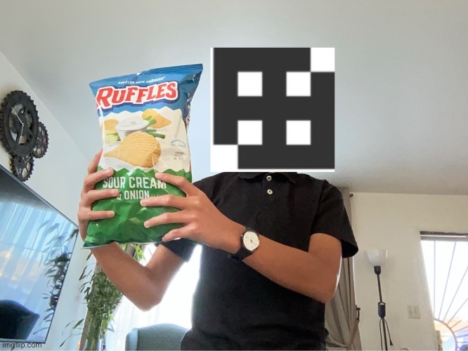 I LIEK MA SAUER CREEM AND ONYUN FLAVORED RUFLES (no, Im not revealing my face.) | image tagged in funny memes,memes | made w/ Imgflip meme maker