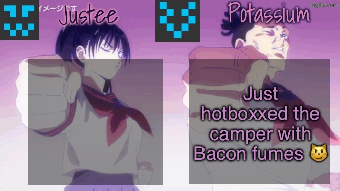 Justee n Potassium template | Just hotboxxed the camper with Bacon fumes 😼 | image tagged in justee n potassium template | made w/ Imgflip meme maker