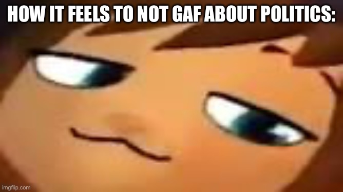 smug hat kid.mp4 | HOW IT FEELS TO NOT GAF ABOUT POLITICS: | image tagged in smug hat kid mp4 | made w/ Imgflip meme maker