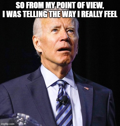 Joe Biden | SO FROM MY POINT OF VIEW, I WAS TELLING THE WAY I REALLY FEEL | image tagged in joe biden | made w/ Imgflip meme maker