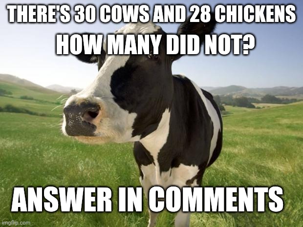 cow | HOW MANY DID NOT? THERE'S 30 COWS AND 28 CHICKENS; ANSWER IN COMMENTS | image tagged in cow | made w/ Imgflip meme maker