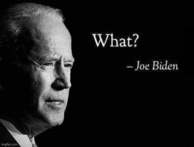 image tagged in what | made w/ Imgflip meme maker