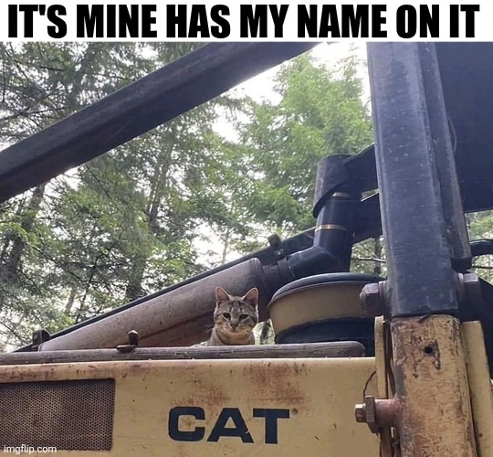 It's Mine Has My Name On It | IT'S MINE HAS MY NAME ON IT | image tagged in chrisjoines1 | made w/ Imgflip meme maker