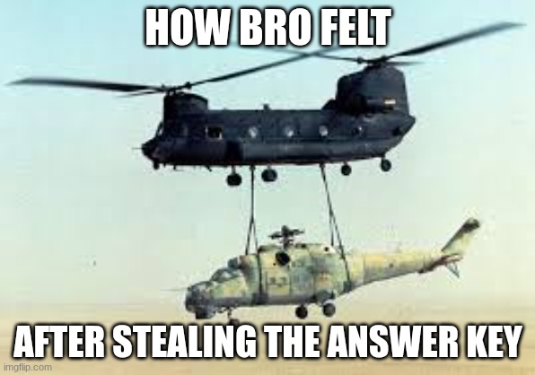 hind | HOW BRO FELT; AFTER STEALING THE ANSWER KEY | image tagged in funny | made w/ Imgflip meme maker
