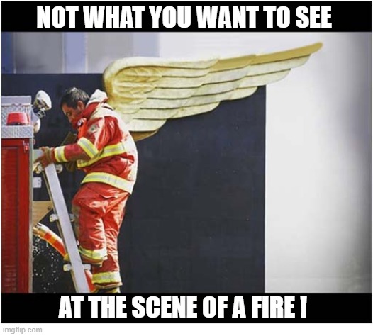 Am I Dead ? | NOT WHAT YOU WANT TO SEE; AT THE SCENE OF A FIRE ! | image tagged in fireman,angel,wings,dead | made w/ Imgflip meme maker