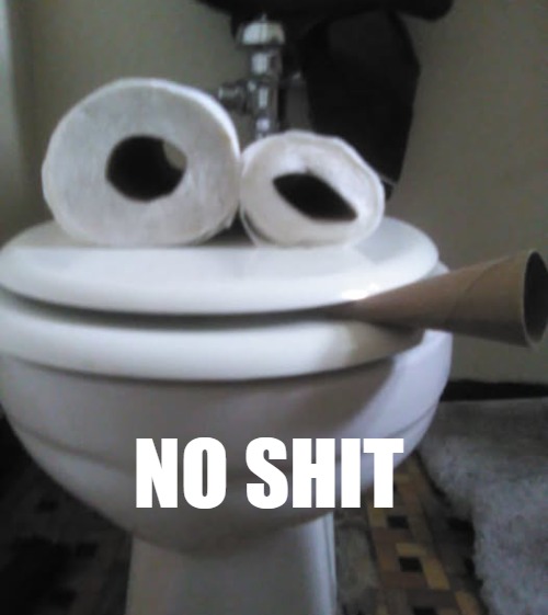 Reaction for yuuu | NO SHIT | image tagged in funny,reactions | made w/ Imgflip meme maker