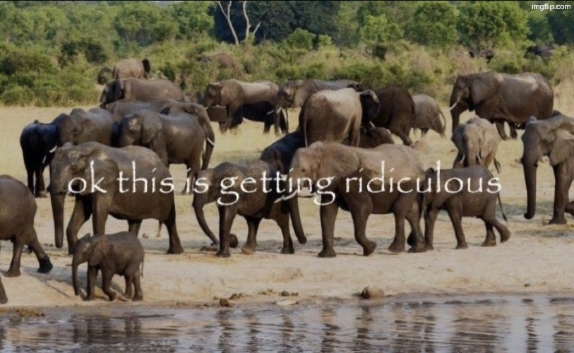 ok this is getting ridiculous | image tagged in ok this is getting ridiculous | made w/ Imgflip meme maker
