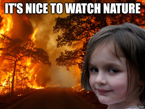 Disaster girl but it's wild fire | IT'S NICE TO WATCH NATURE | image tagged in disaster girl but it's wild fire | made w/ Imgflip meme maker
