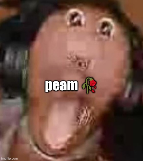 peam | peam 🥀 | image tagged in velocity | made w/ Imgflip meme maker