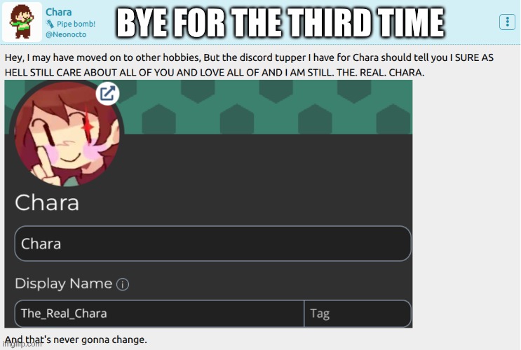 I figured I should submit this here, since System got to see it | BYE FOR THE THIRD TIME | image tagged in i love you guys | made w/ Imgflip meme maker