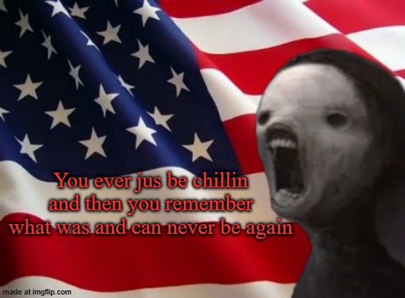 void lazy but patriotic | You ever jus be chillin and then you remember what was and can never be again | image tagged in void lazy but patriotic | made w/ Imgflip meme maker